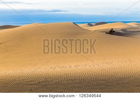 Maspalomas Sand Dunes During Sunrise - Maspalomas Gran Canaria Canary Islands Spain