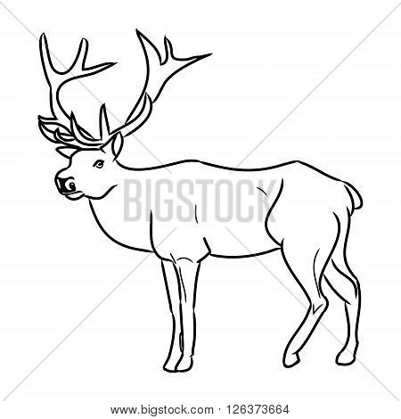 Graphic image of deer on a white background. The abstraction of black lines. Vector