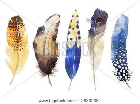 Hand drawn watercolor feather set. Boho style. illustration isolated on white. Design for T-shirt invitation wedding card.Rustic Bright colors.