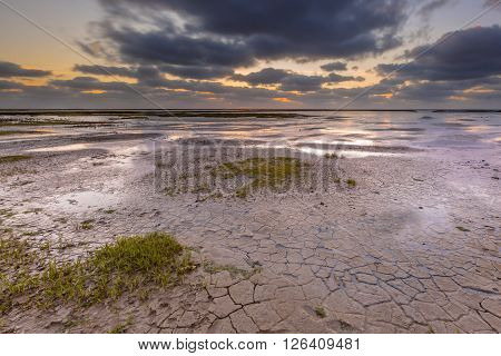 Tidal Marsh Mud Flat