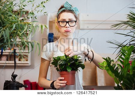 Sad lovely young woman florist in glasses standing and holding green plant in flowerpot in flower shop