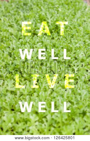 Eat well live well inspirational quote on vegetable background