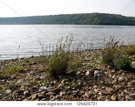 Wonderful Holiday By The River In Nature