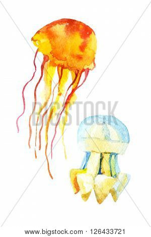 Colorful jellyfish set isolated on white background. Watercolor illustration