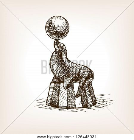 Circus seal with ball sketch style vector illustration. Old hand drawn engraving imitation. Seal with ball on circus