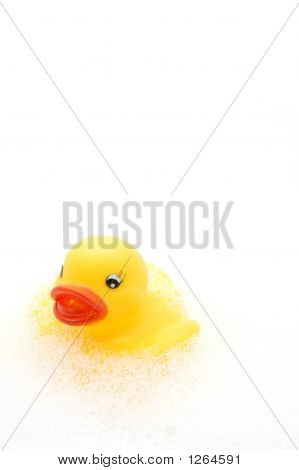 Yellow Rubber Duck In Bubbles