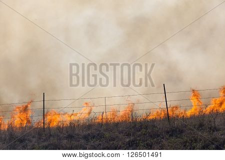flames and smoke, burning prairie grass, Flint Hills, Kansas