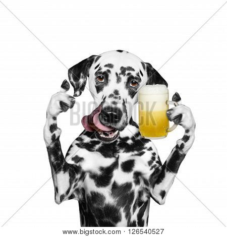 dog drinks beer and greeting somebody -- isolated