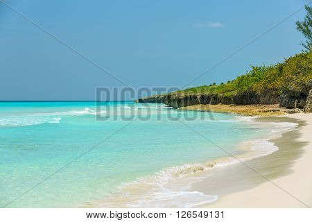 Beautiful charming wide open view of natural tropical background on warm bright sunny day