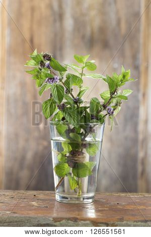 Bunch of fresh mint in a glass of water on wooden background