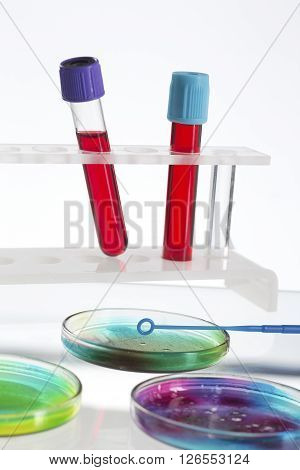Petri dish blood test test-tube and syringe