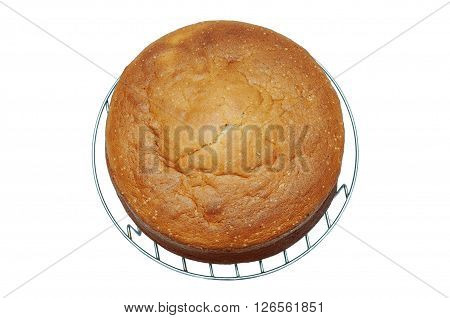Classic Sponge Cake