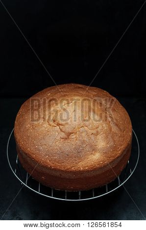 Classic Sponge Cake