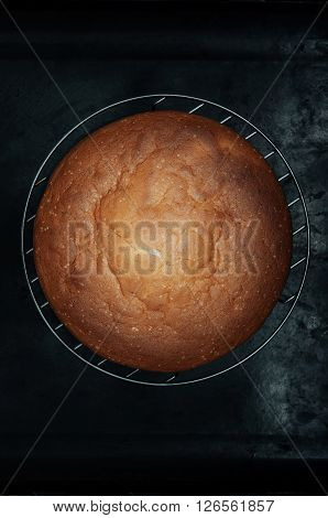 Classic Sponge Cake