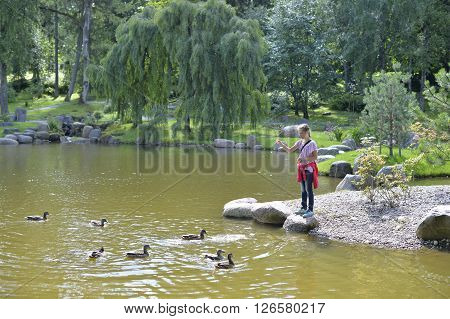 August, 2015  - Tallinn, Estonia. Kadriorg  park. A girl is feeding the birds.