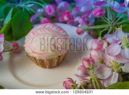 Cupcake or muffin on the white plate among spring blooming apple branches