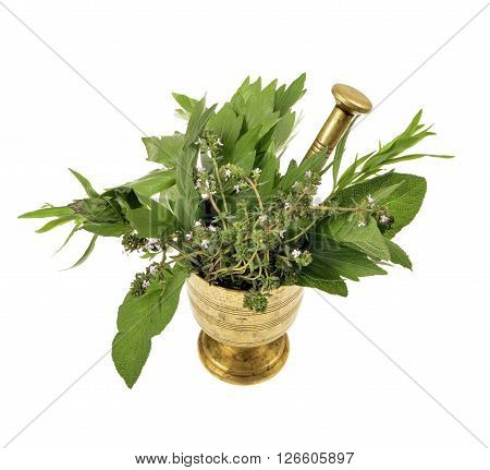 Fresh spice and herbs in the pounder isolated on white background