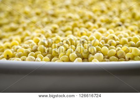Closeup of proso millet in white bowl