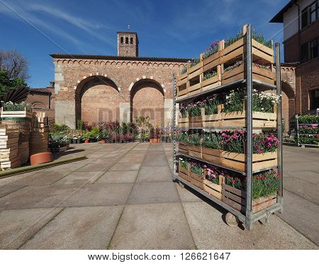 Sant Ambrogio Church In Milan