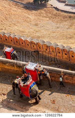 AMER, INDIA - NOVEMBER 18, 2012: Tourists riding elephants on ascend to Amer (Amber) fort, Rajasthan, India. Amer fort is famous tourist destination and landmark