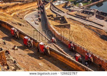 AMER, INDIA - NOVEMBER 18, 2012: Tourists riding elephants on ascend to Amer (Amber) fort, Rajasthan, India. Amer fort is famous tourist destination and landmark