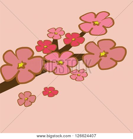 Cherry Blossom branch illustration vector pink tone spring tone
