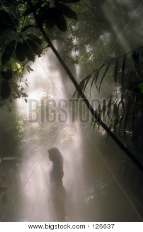 Misty Walk