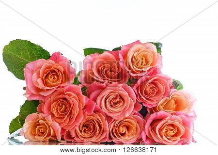 bouquet of pink roses isolated on white