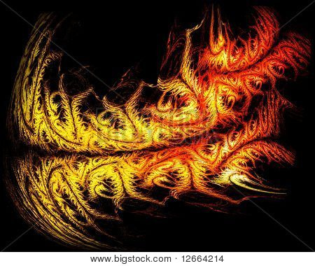 tigre drago