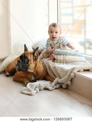 Little baby boy with boxer dog resting near window at home