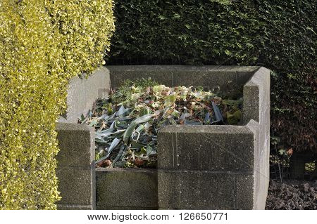 Compost Heap