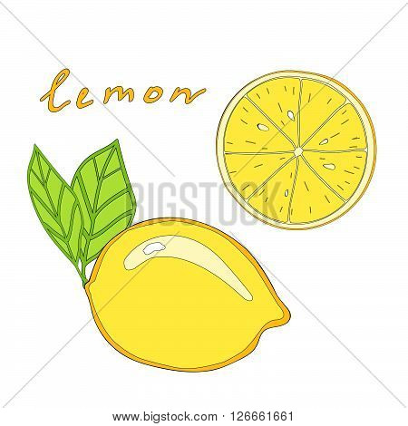 Lemon with leaf and lemon slice. Vector isolated fruit
