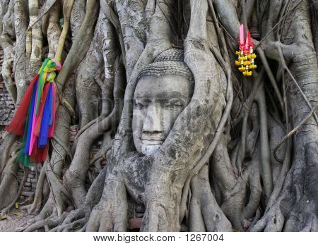 Budda