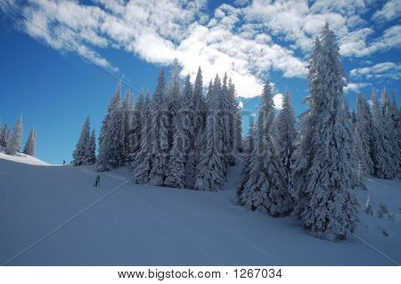 ไอดีลหนาว