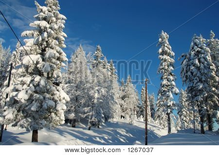 ถนนหิมะ