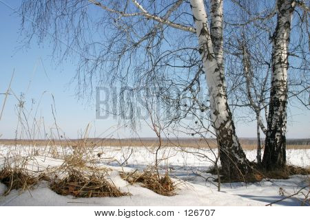 Russian Nature