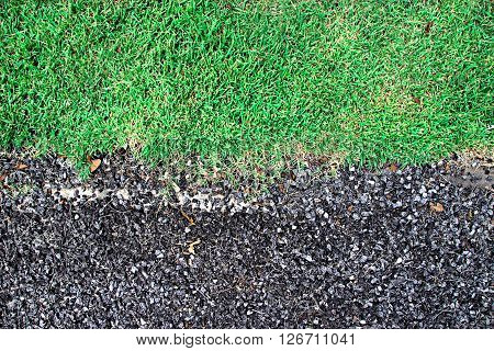 Bedrock Mixer and Green grass ,texture background