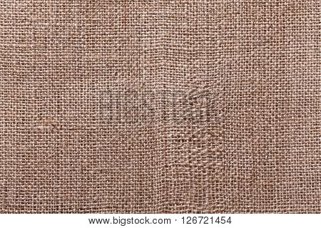 fine closeup image of juta