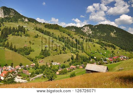 Summer morning landscape in the carpathian countryside