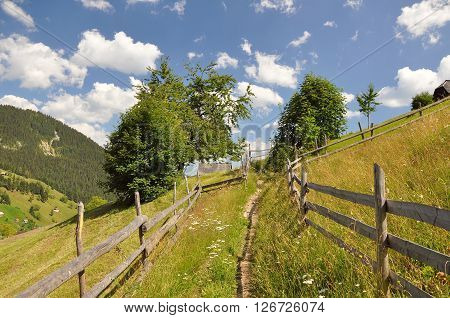 Summer morning landscape in the carpathian countryside