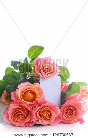 bouquet of pink roses isolated on white