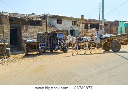 AL MAHAMID EGYPT - OCTOBER 7 2014: The cart with a donkey rides along the village street on October 7 in Al Mahamid.