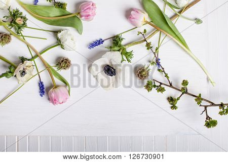 White anemones pink tulips and grape hyacinths lying on the white wood and shutter