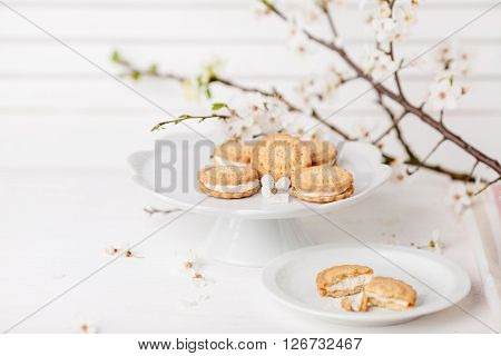 Cookies with cream on white plates with branch of blossom plum tree with white shutter in background and small flowers