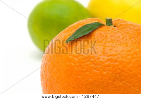 List si Mandarinka