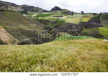Farms and crops on slopes around Zumbahua province of Cotopaxi Ecuador