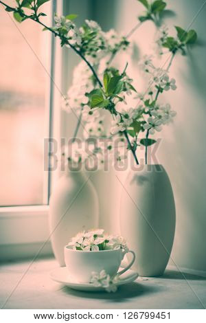 Cherry blossom in a white vase on a windowsill, vintage style spring home decor