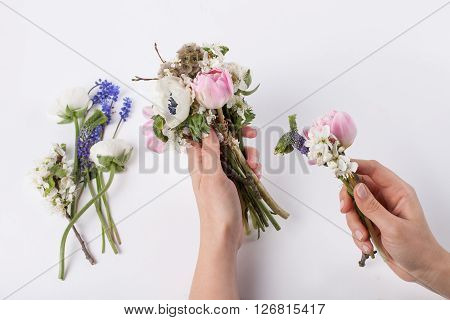 Florist is making a beautiful spring bouquet from pink tulips violet grape hyacinths white anemones violet veronica and white buttercups on white background