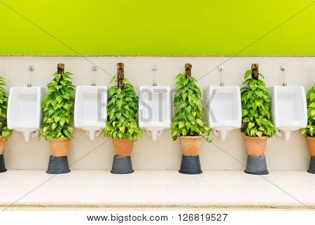 The modern style decorative restroom interior design with white urinal row and green ornamental plants