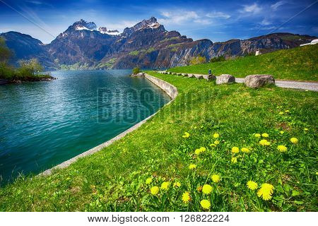 Beautiful Sea Promenade In Sisikon Village With The View Of Swiss Alps And Lucerne Lake, Switzerland